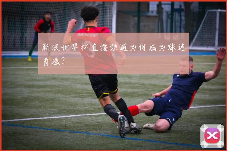 新浪世界杯直播频道为何成为球迷首选?