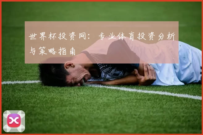 世界杯投资网：专业体育投资分析与策略指南