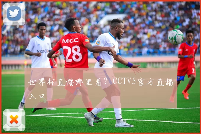 世界杯直播哪里看？CCTV5官方直播入口