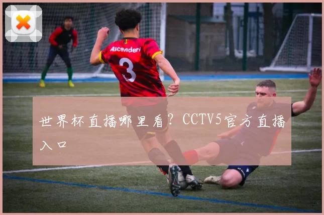世界杯直播哪里看？CCTV5官方直播入口