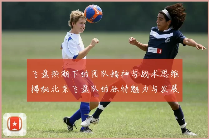 飞盘热潮下的团队精神与战术思维揭秘北京飞盘队的独特魅力与发展之路