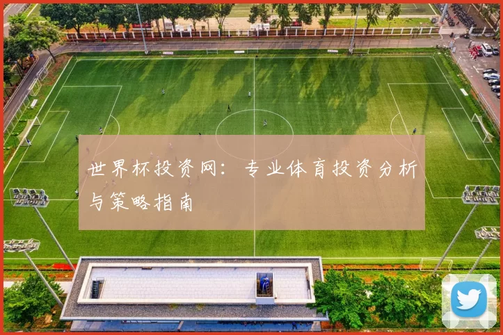 世界杯投资网：专业体育投资分析与策略指南