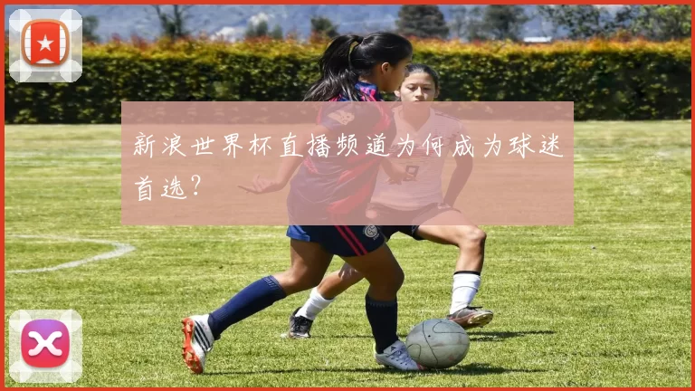 新浪世界杯直播频道为何成为球迷首选？