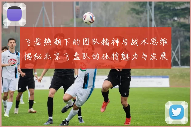 飞盘热潮下的团队精神与战术思维揭秘北京飞盘队的独特魅力与发展之路