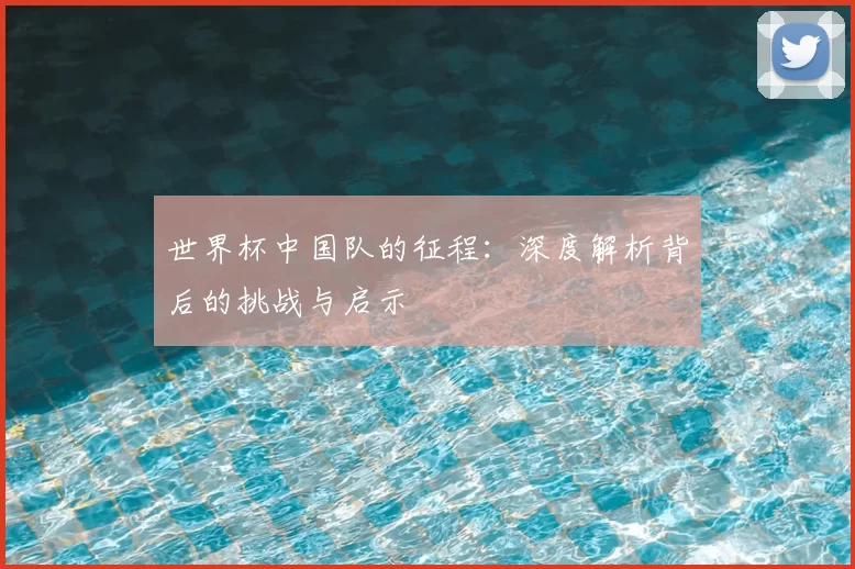 世界杯中国队的征程：深度解析背后的挑战与启示