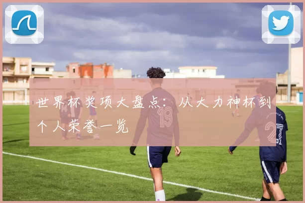 世界杯奖项大盘点：从大力神杯到个人荣誉一览