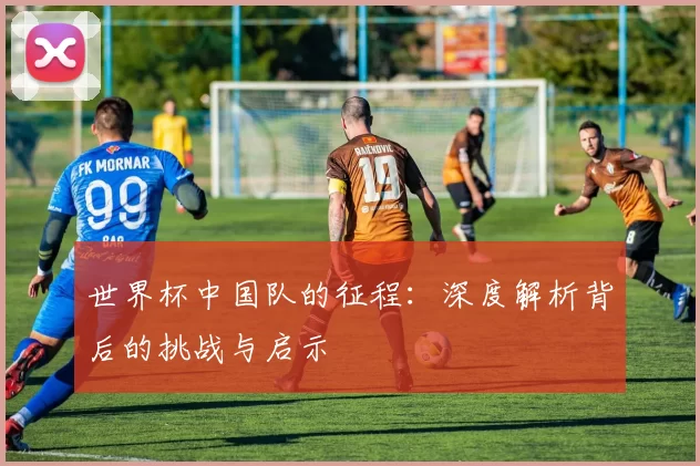 世界杯中国队的征程：深度解析背后的挑战与启示