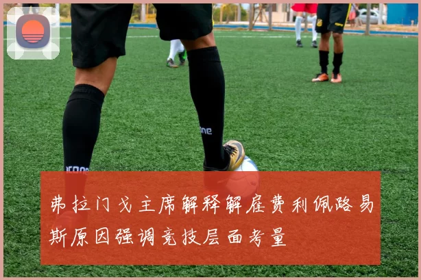 弗拉门戈主席解释解雇费利佩路易斯原因强调竞技层面考量