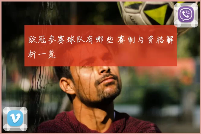 欧冠参赛球队有哪些 赛制与资格解析一览