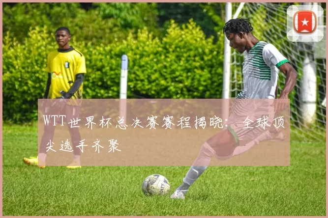 WTT世界杯总决赛赛程揭晓：全球顶尖选手齐聚